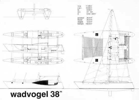 Wadvogel 38 drawing